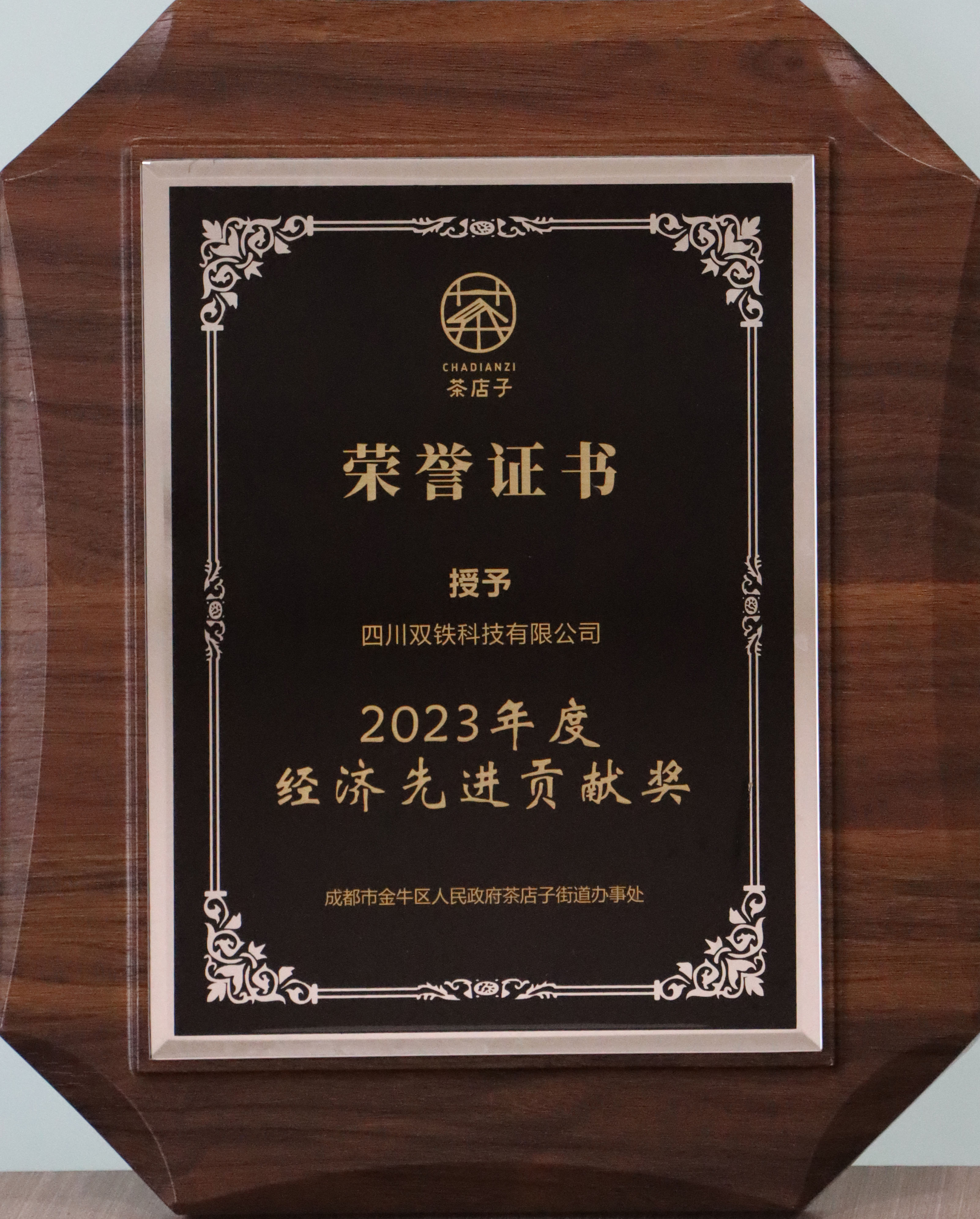 双铁科技 2023年度经济先进贡献奖 拷贝